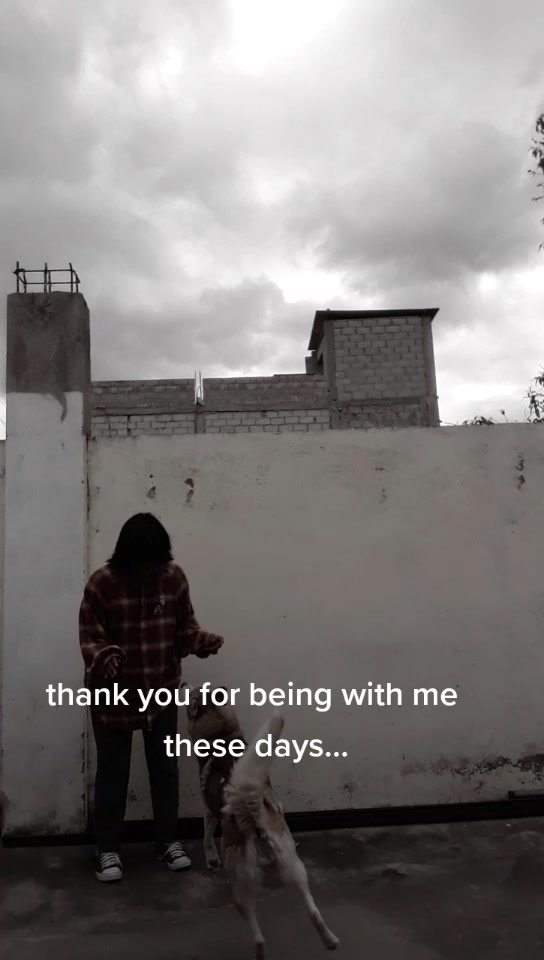 @yukii