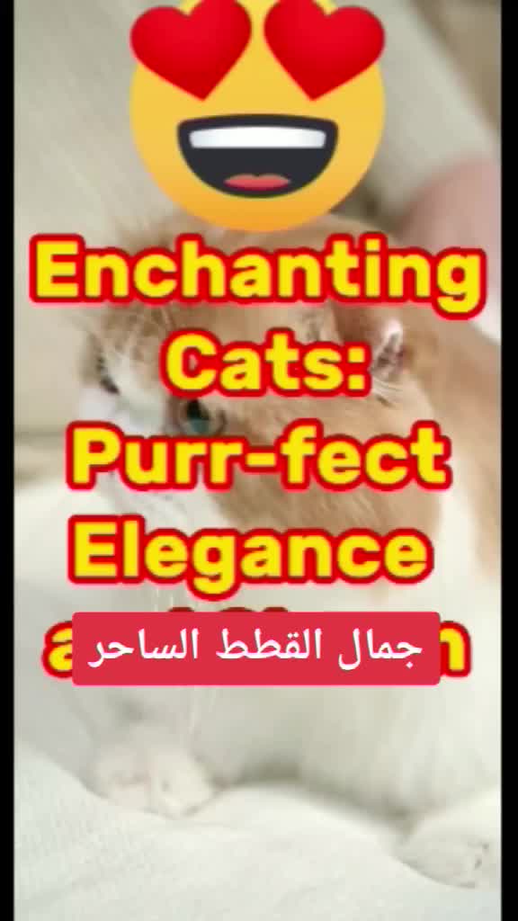 @عالم الحيوانات والطبيعة