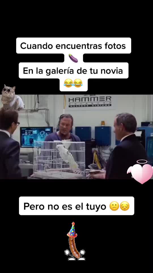 @Jesús Alejandro Hern