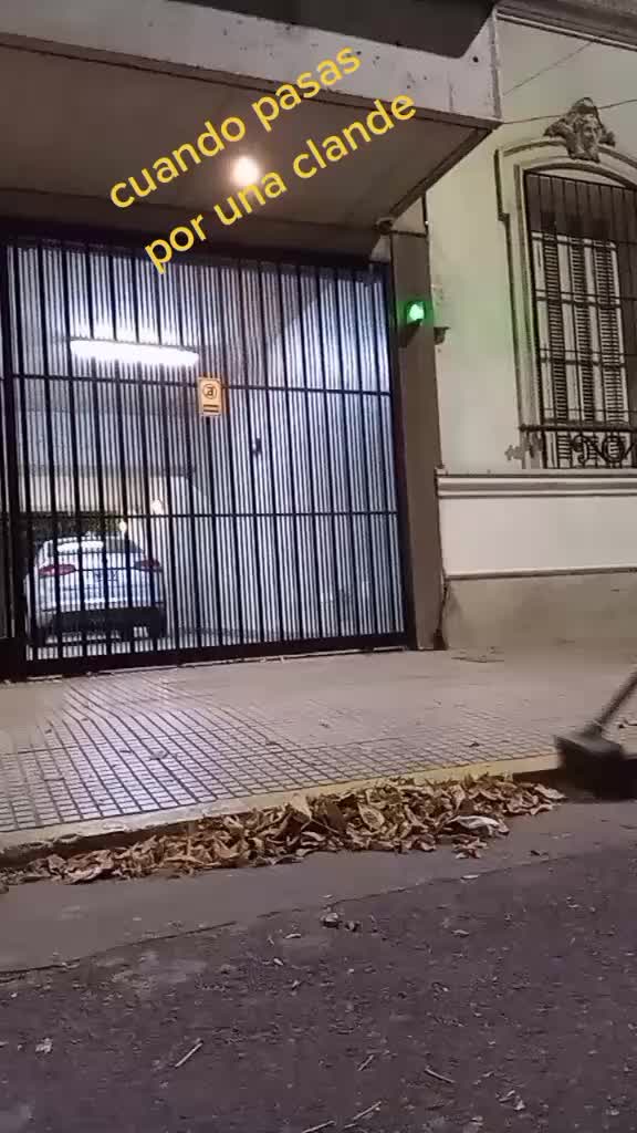 @Nano Carp