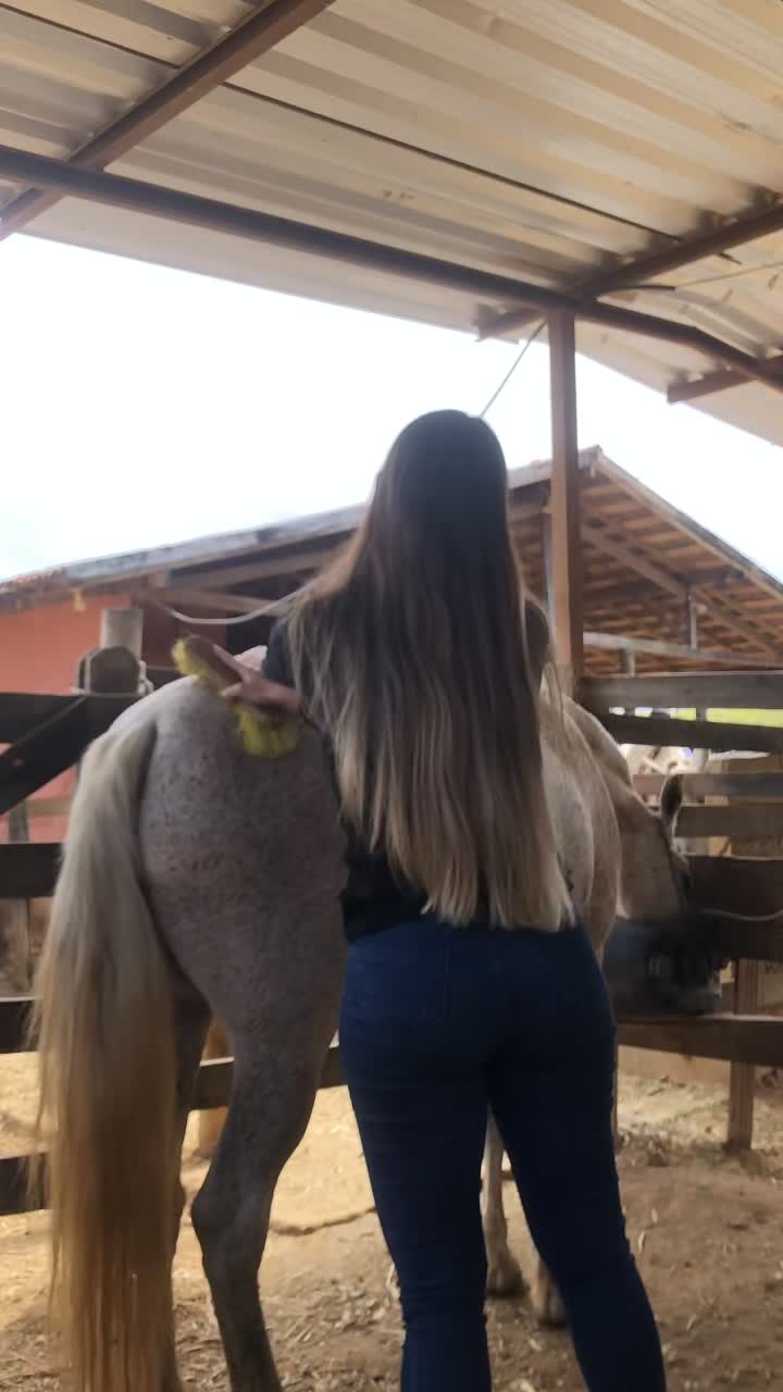@Ariene Abreu
