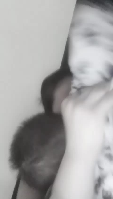 @Stefy2003