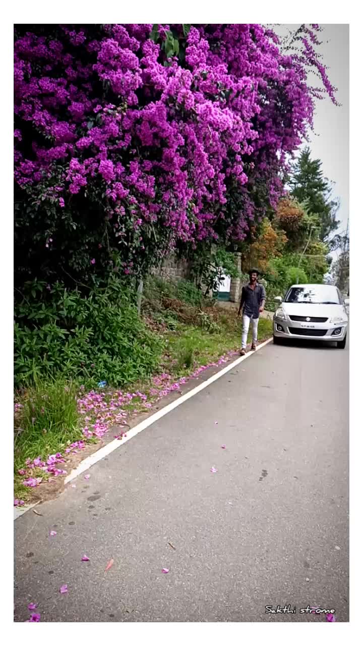 @Sakthi Strome