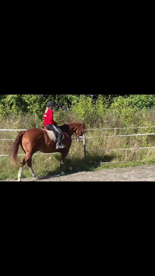 @🏇Ryttare🏇
