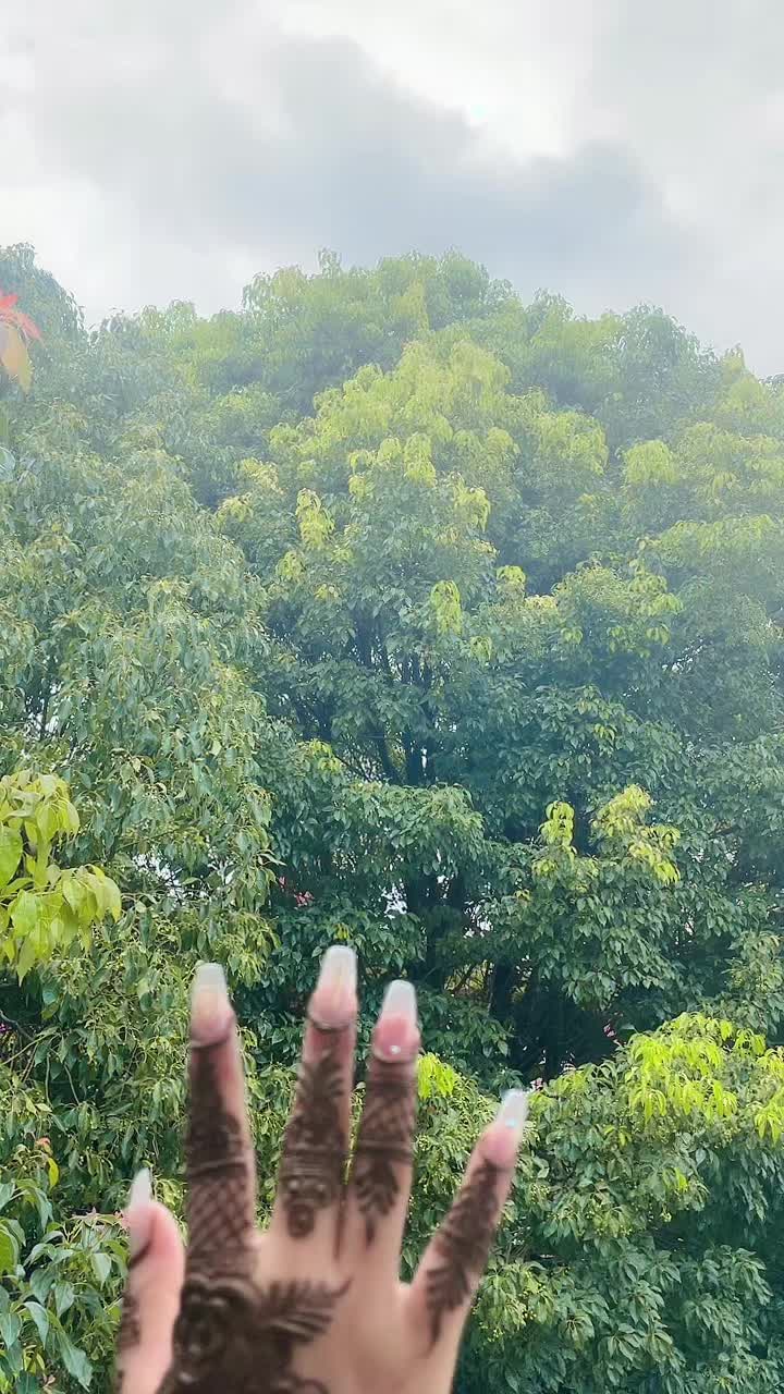 @Sujataz mehendi zone