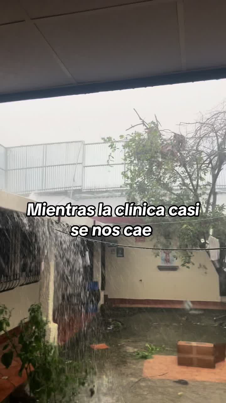 @Yakartta🦝