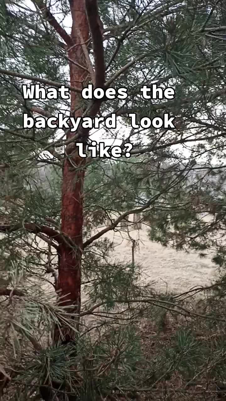 @ɗᥱᥴ᧐rᥲᴛi᧐ᥒ