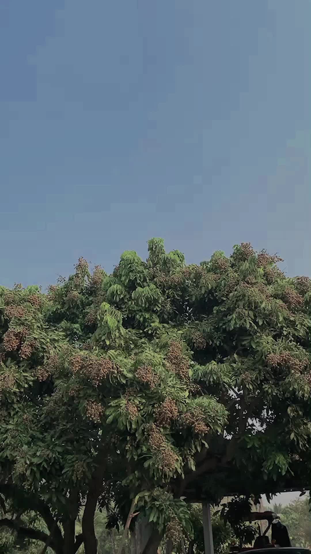 @หนึ่ง”