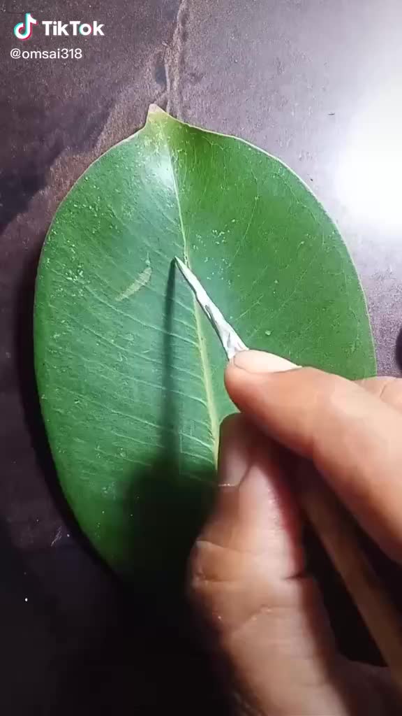 @Abhinav nirwan 602