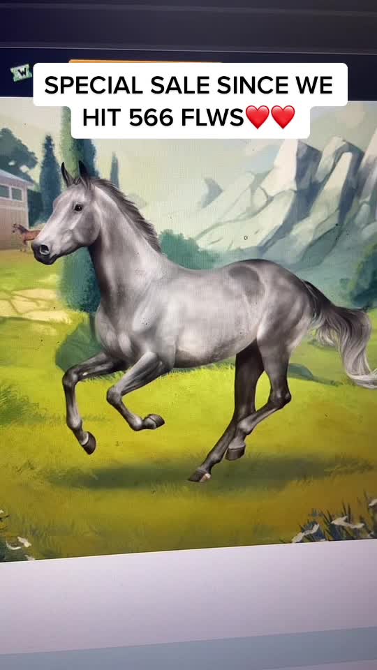 @Horse reality🤍