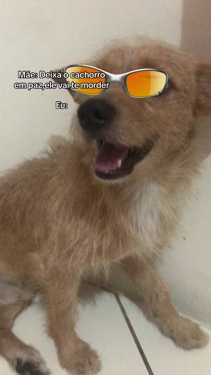 @🌻
