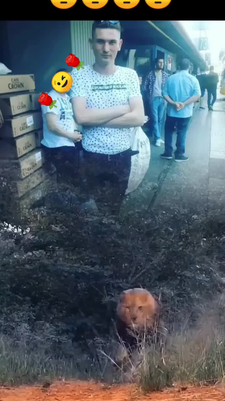 @akrep 03 🦞