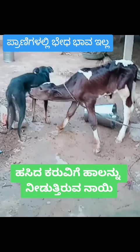 @Girish Bn Gowda