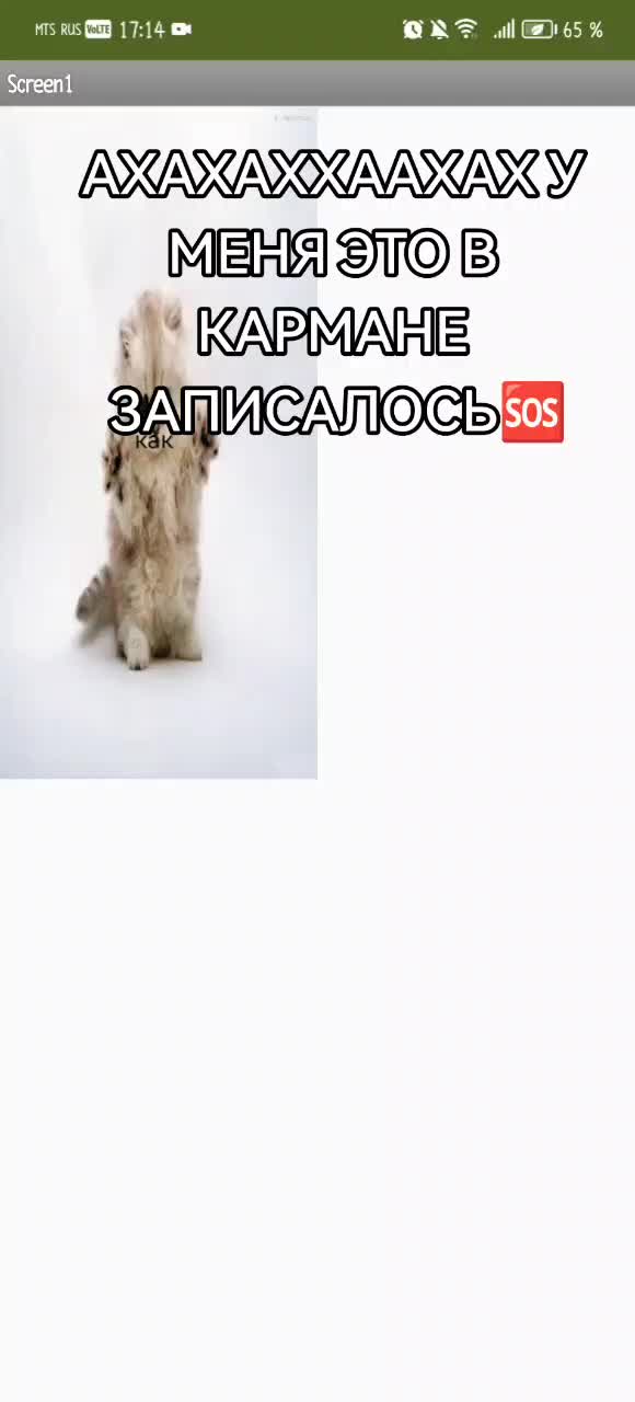 @Ерунда