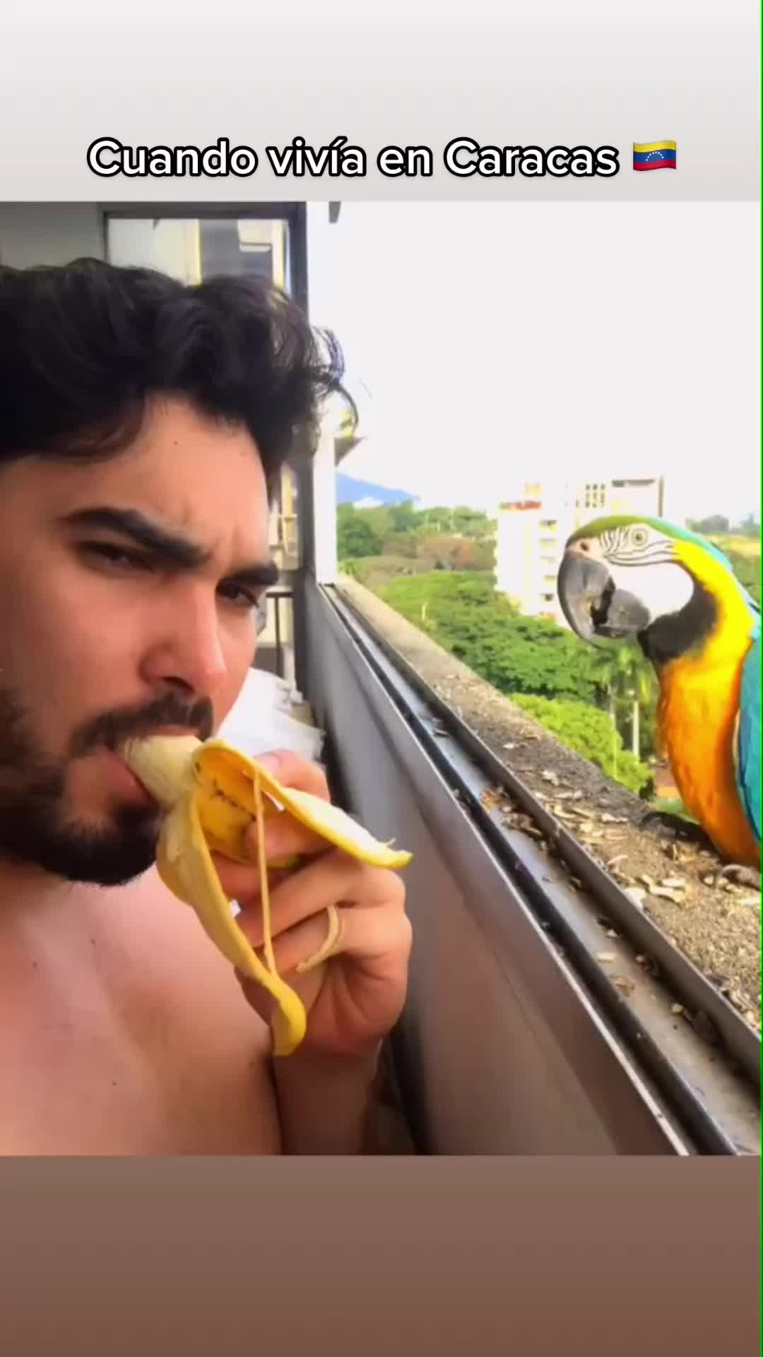 @Jesus Marcano