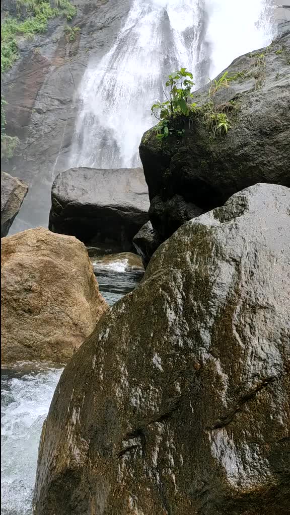 @Meenakshi Anirudhan