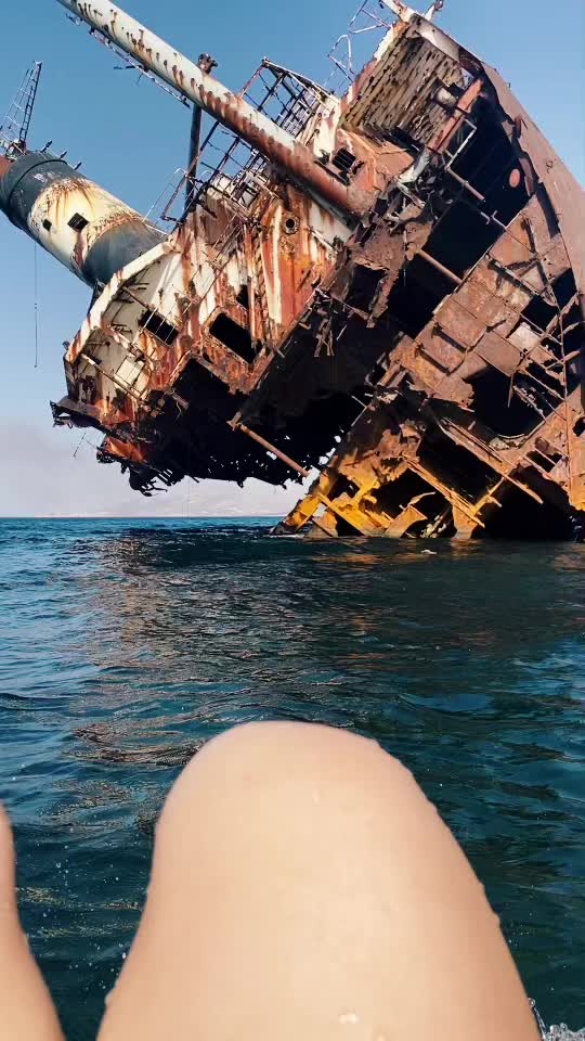 @كِنزة 🇹🇳