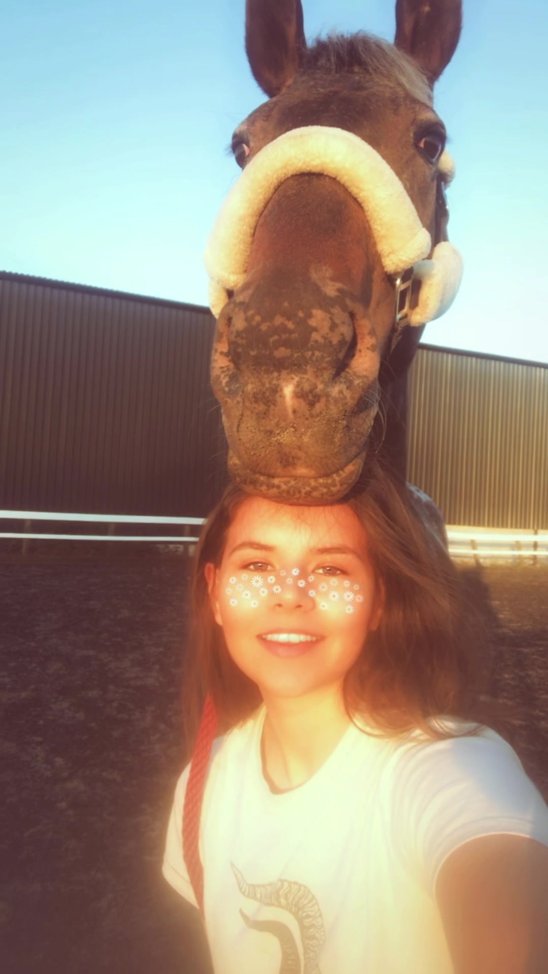 @Horses_with_Narni