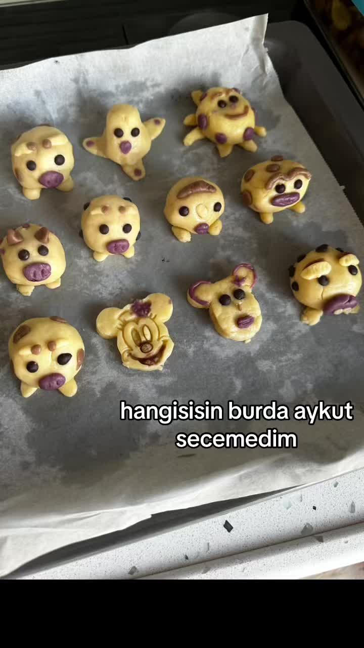 @irem🦩
