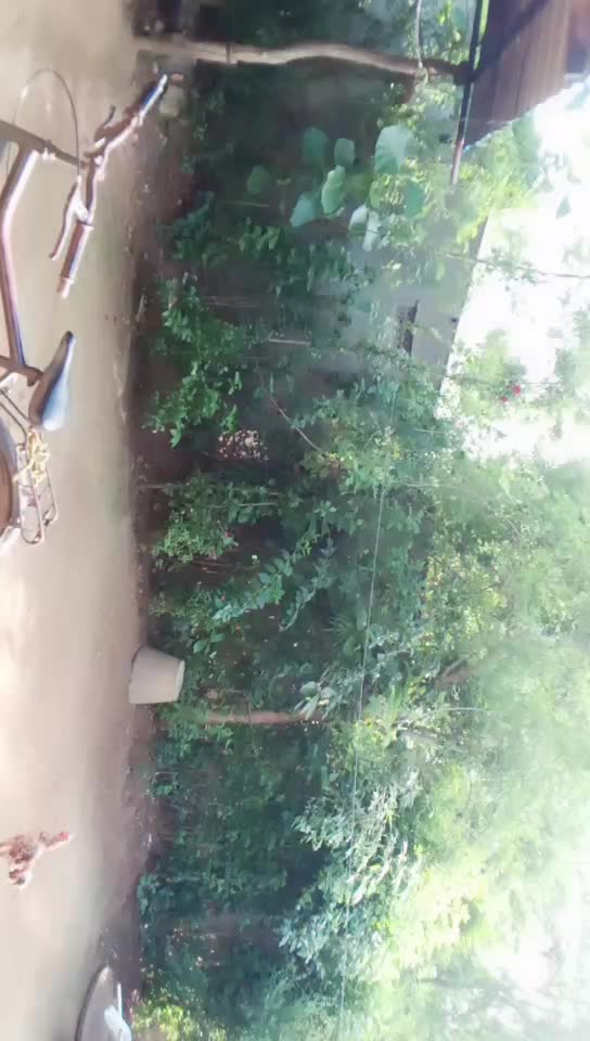 @ps tarun