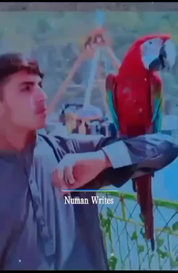 @❤️NaZbEeN❤️