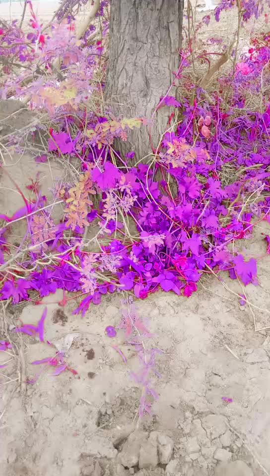 @@Vikram thakor 1111