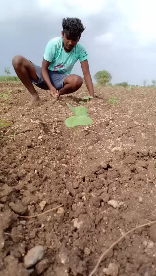 @beerappa