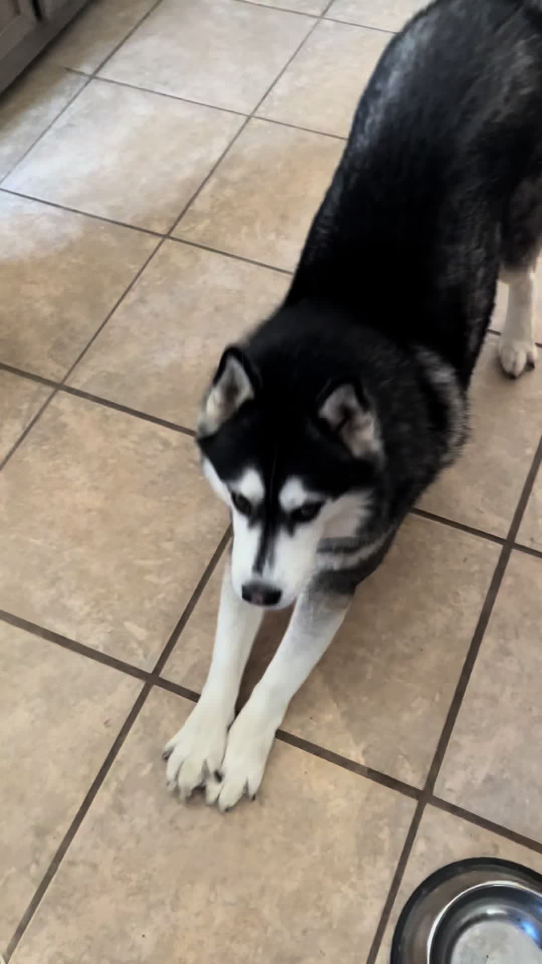 @Husky 6 Pack