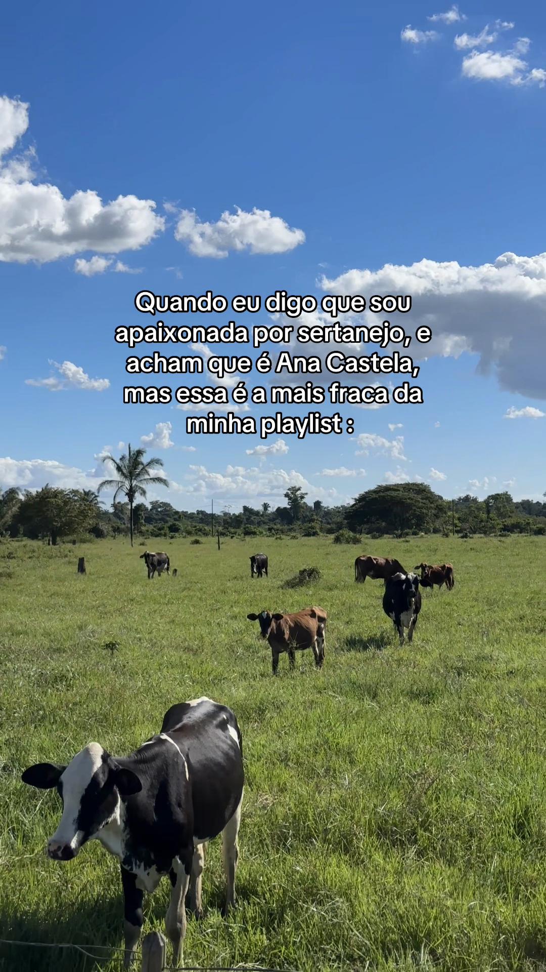 @diolina2_