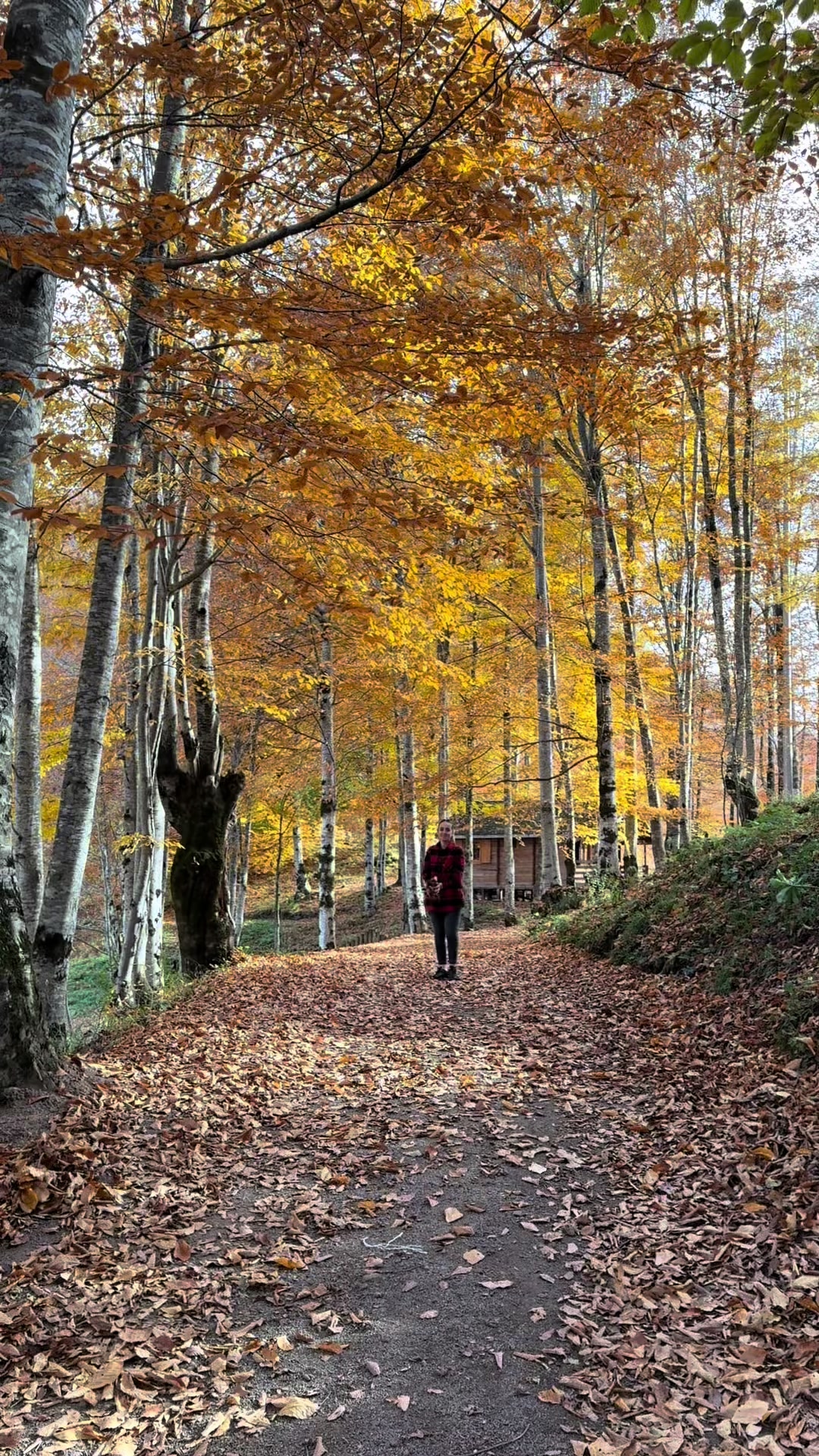@Ebru &G&ouml;khan