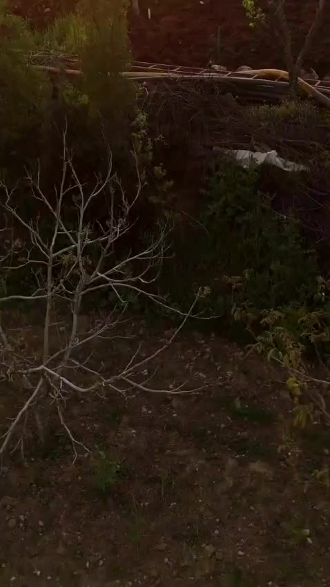 @NejLa SerToĞLU🦋🦋