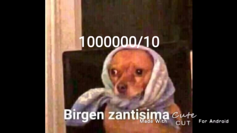 @archi uwu