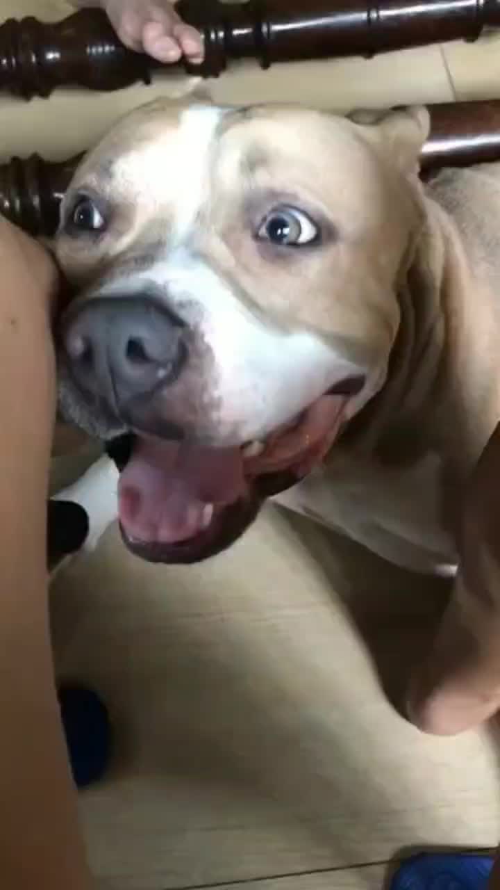 @fyygg12