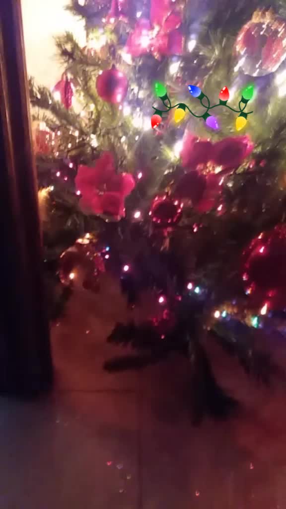 @giadafierro6
