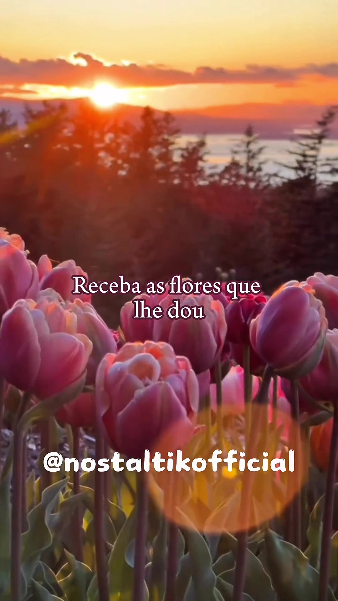 @Nostaltik