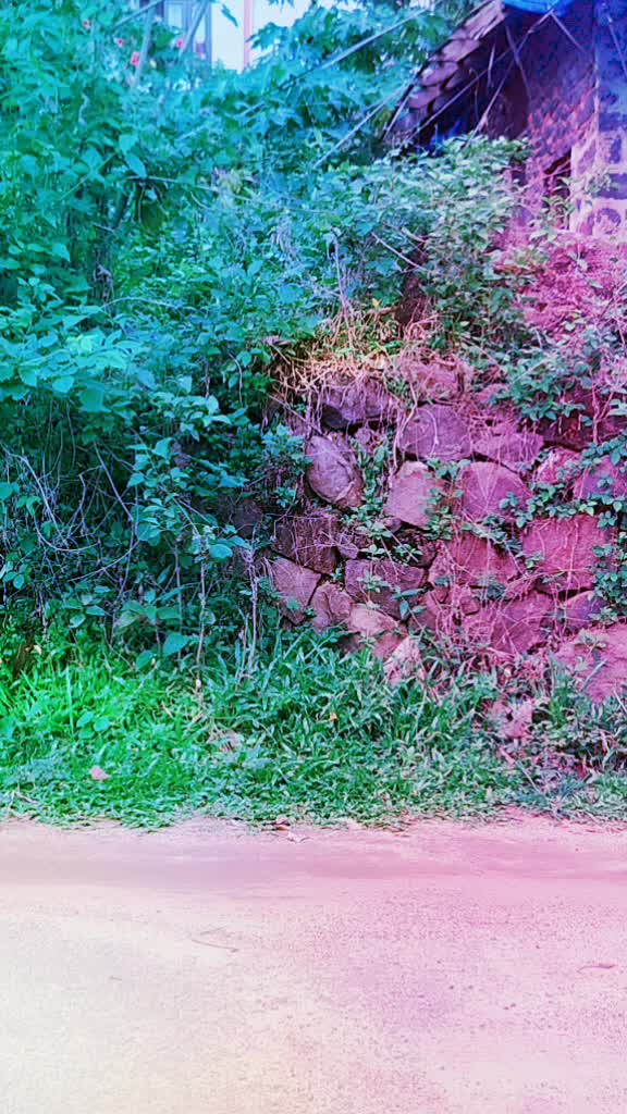 @Jyothis Varghese