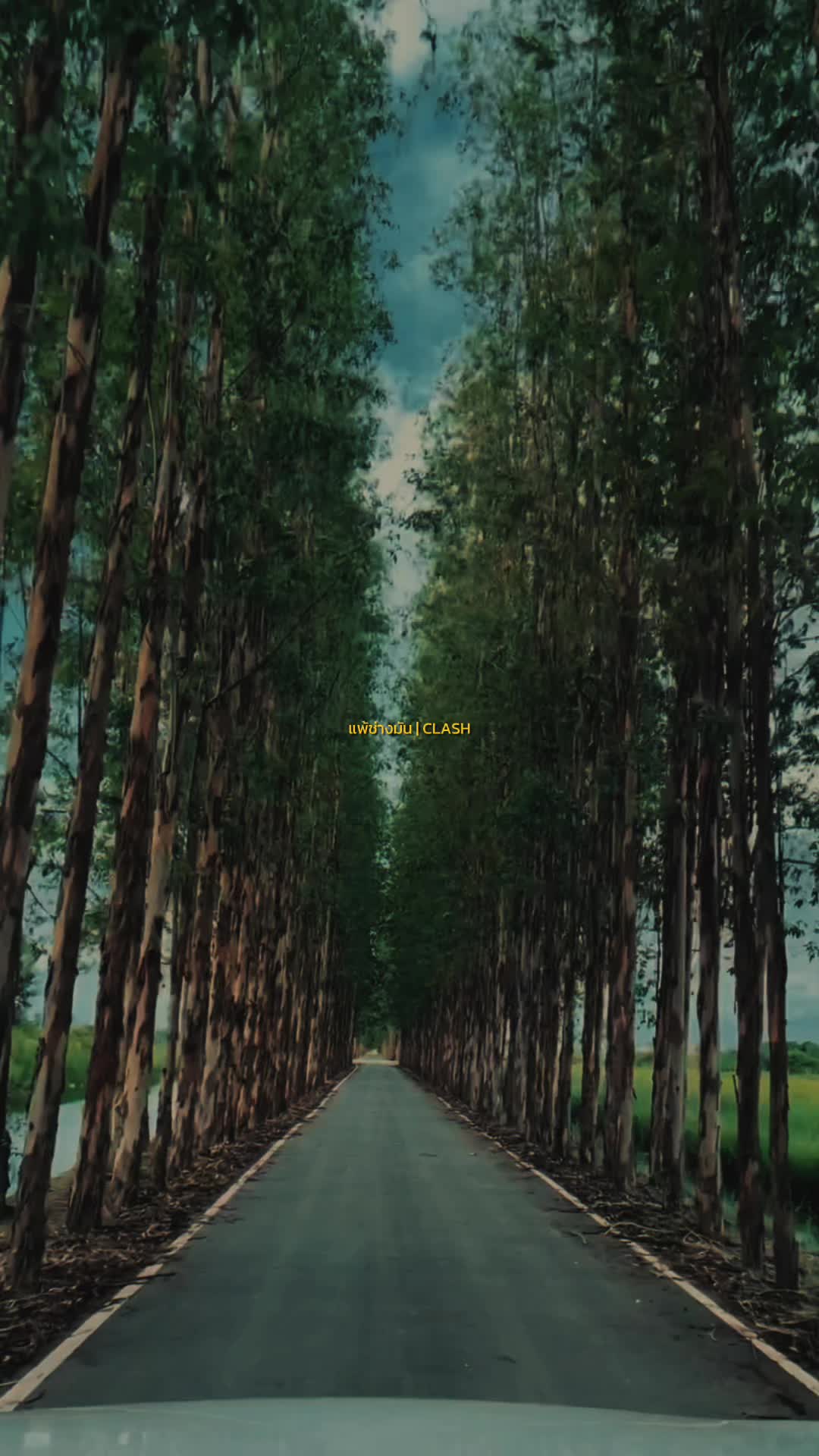 @💫Story"aommy🪐