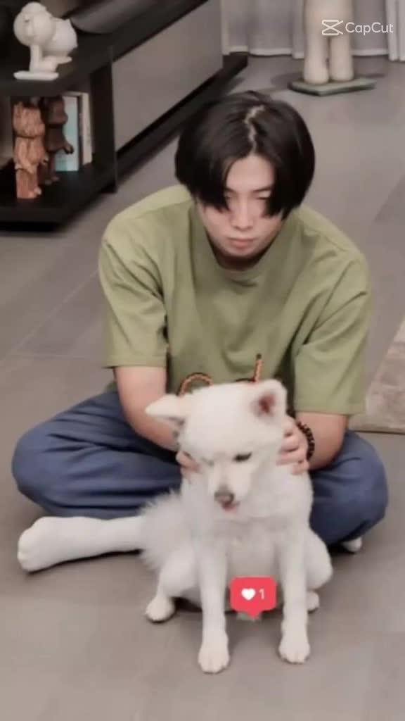 @NUNA_V🐯