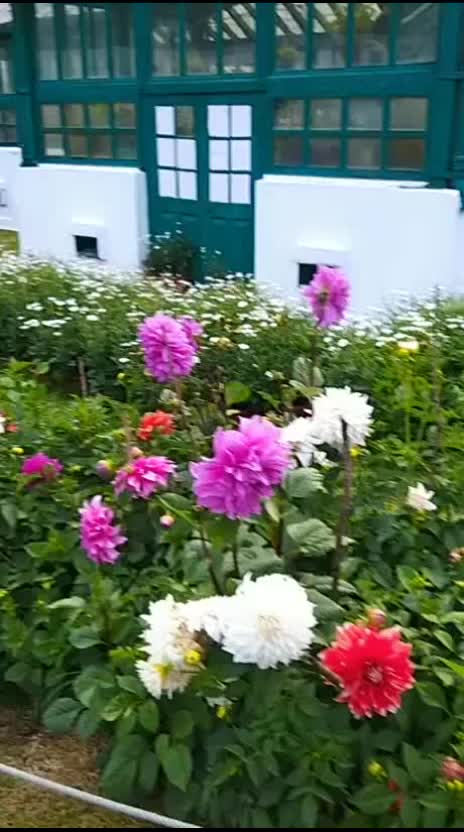 @A S Chaudhari