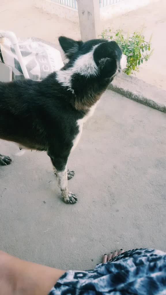 @❤Sandy❤