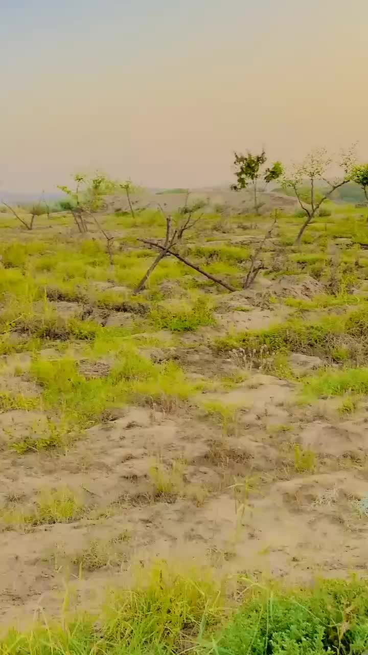 @Abid Ali Sumalani zb