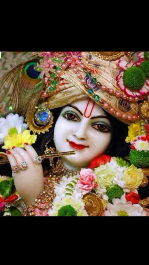 @laxmi mishra