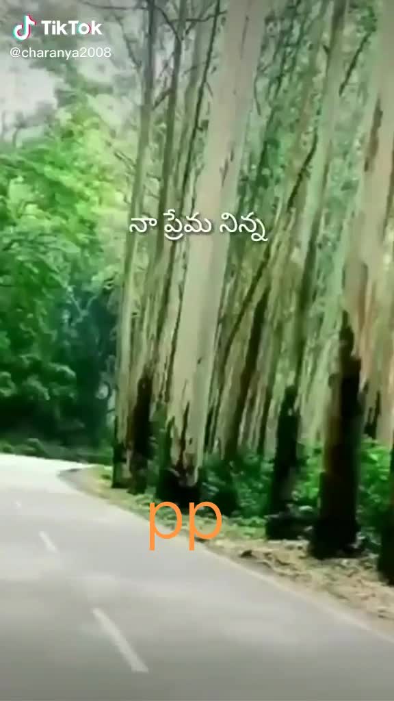 @pp. vijay