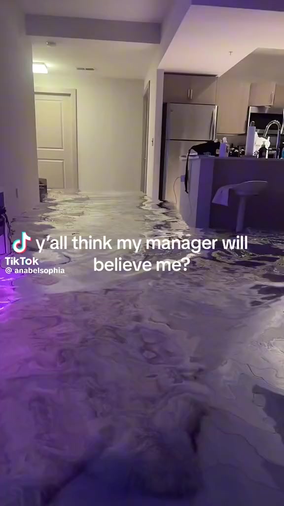 @clesh117