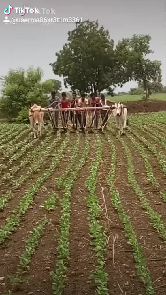 @राजेश जामगे3361वसमद