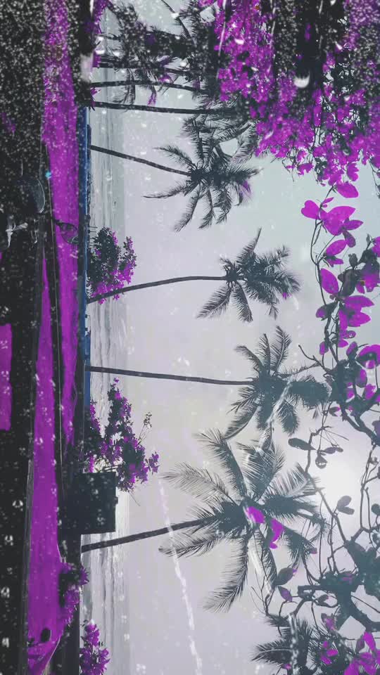 @mohd umar