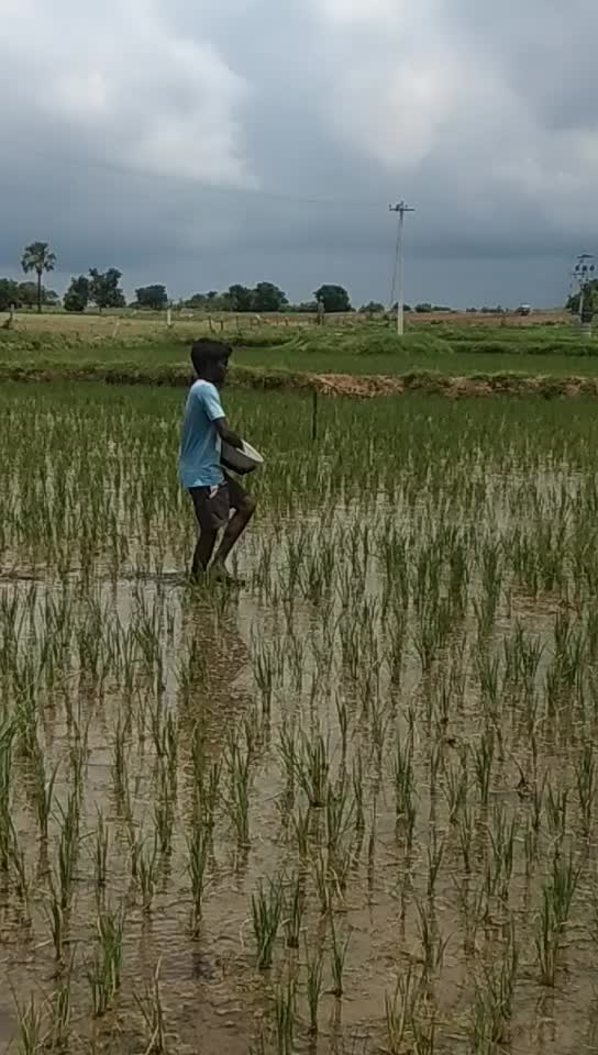 @Kommu Aravind