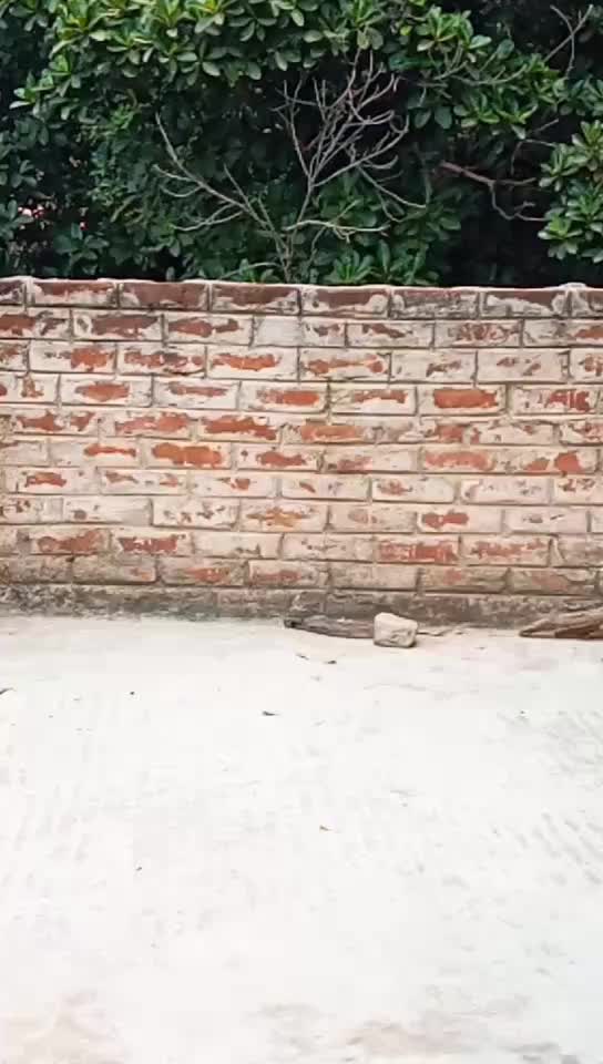 @👑__Bipul____👑🔥