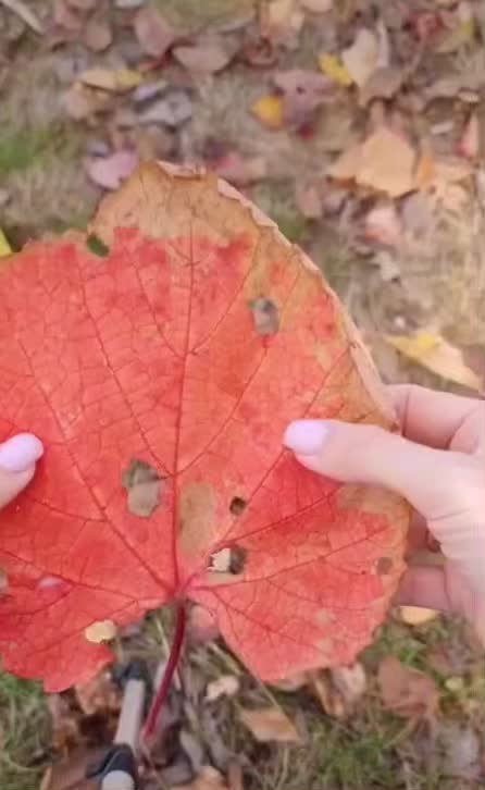 @Айгюн