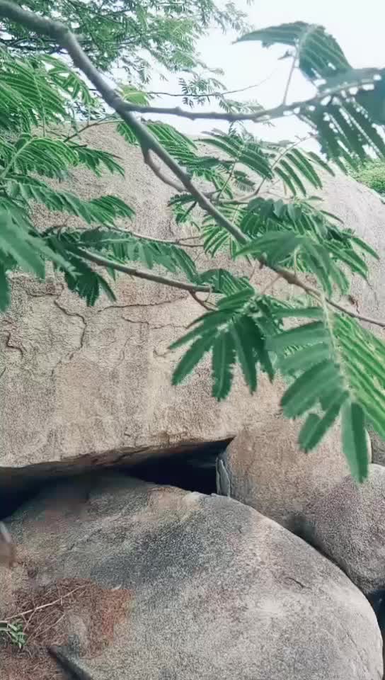 @srinath sri